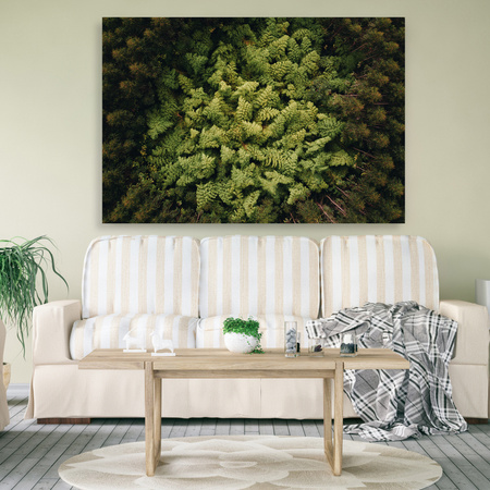 Obraz na plátně Stromy přírody z ptačí perspektivy 70x50