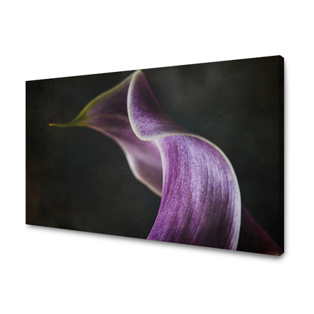 Obraz Botanický květ fialový okvětní lístek 40x30 cm