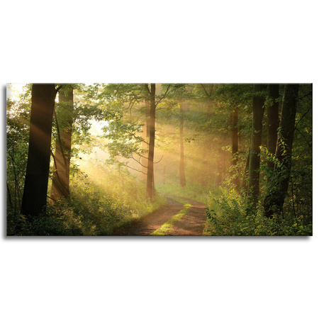 Obraz na plátně Sunlight Forest Path Nature 120x60 cm