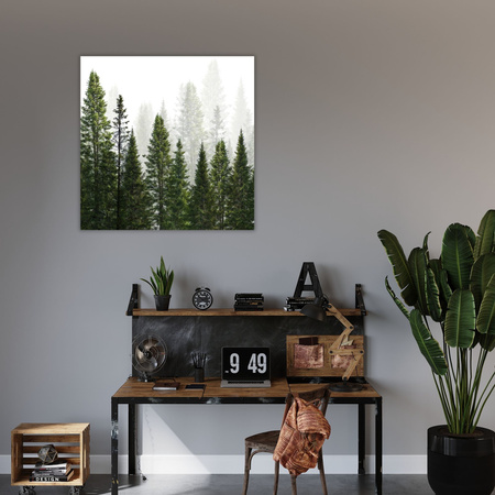 Obraz na plátně Rain Forest Nature Trees 80X80 cm