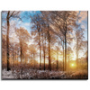 Obraz na plátně Stromy Zimní vycházející slunce 50x40 cm
