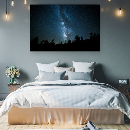 Obraz na plátně Vesmírná noc Lesní mlhovina 90x60