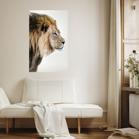 Obraz na plátně Staring Lion Nature Face 80x120 cm