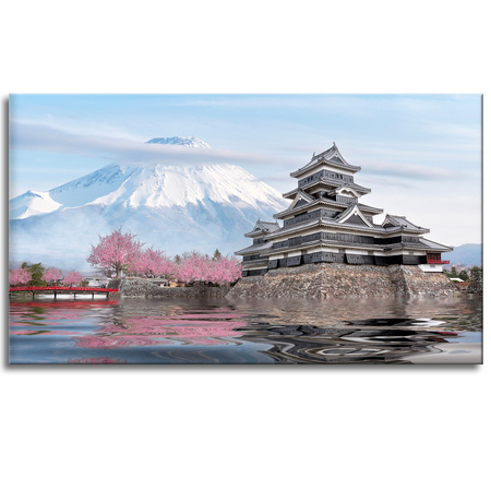 Obraz na plátně Nature Mount Fuji Japan 120X60 cm