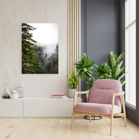 Obraz na plátně Příroda Hory mlžný les 30x40 cm