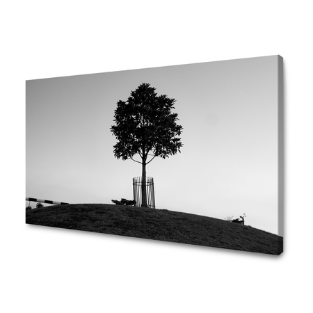 Obraz na plátně Přírodní strom 40x30 cm