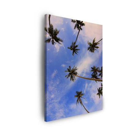 Obraz na plátně Příroda Kokosové palmy 30x40 cm