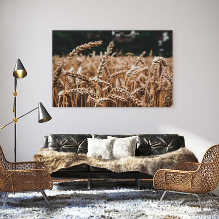 Obraz na plátně Příroda Pšeničné pole 40x30 cm