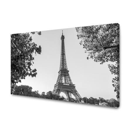 Obraz na plátně Architektura Eiffelova věž černobílá 100X80 cm