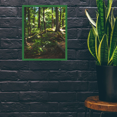 3x Rama Zielona 40x50, I L13,15,025, Plexi