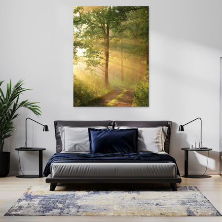 Obraz na plátně Sunlight Forest Path Nature 50x70 cm