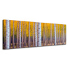 Obraz na plátně Břízy v podzimním žlutém listí 120x40 cm