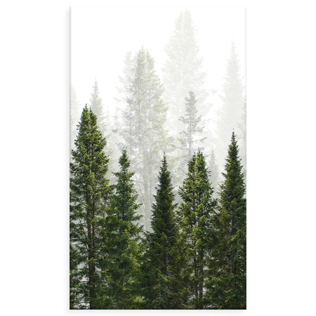 Obraz na plátně Rain Forest Nature Trees 70x120 cm