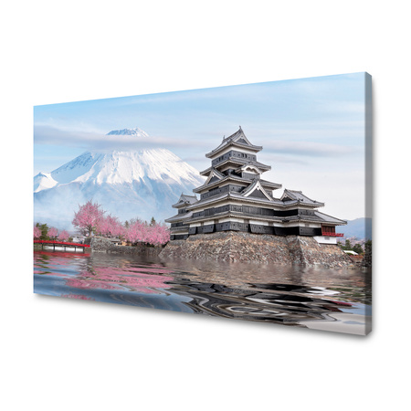 Obraz na plátně Nature Mount Fuji Japan 120X60 cm