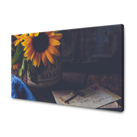 Obraz na plátně Botanika vintage slunečnice 40x30 cm