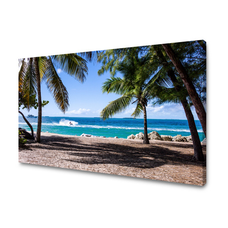 Obraz na plátně Příroda Oceánské palmy 40x30 cm