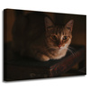Obraz na plátně Zvířata Kočka 40x30 cm