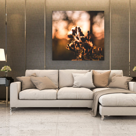 Obraz na plátně Botanika ráno 40x40 cm