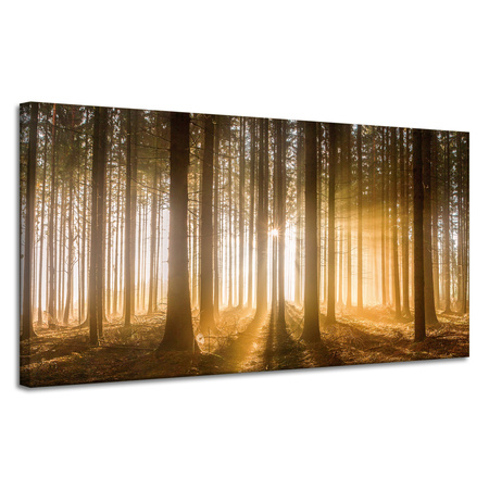 Obraz na plátně Slunce v lese Světlo stromu 120x60 cm