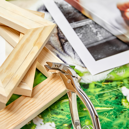 Obraz na plátně Příroda Palmový list 80x120