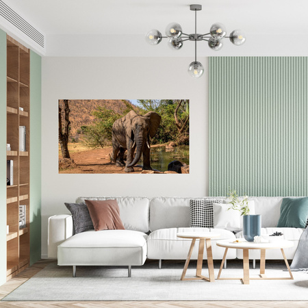 Obraz Slon Afrika Water Mud Sun 100x80 cm