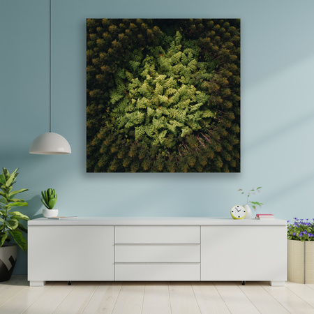 Obraz na plátně Stromy přírody z ptačí perspektivy 90x90