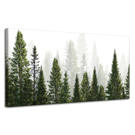 Obraz na plátně Rain Forest Nature Trees 120x60 cm