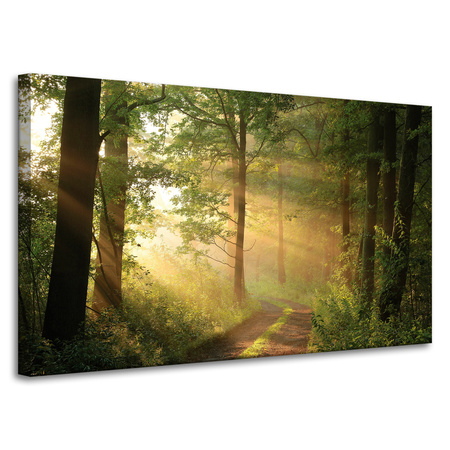Obraz na plátně Sunlight Forest Path Nature 100x60 cm