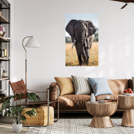Obraz na plátně Velký šedý slon Savannah Afrika 80x120 cm