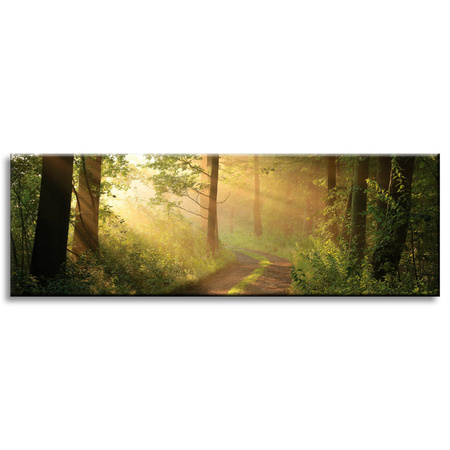 Obraz na plátně Sunlight Forest Path Nature 120x40 cm