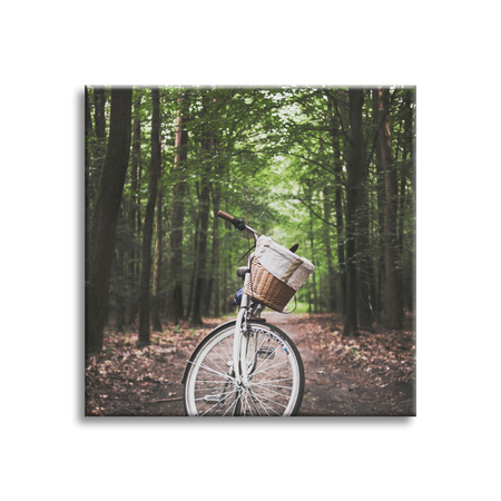 Obraz na plátně Kolo pro mládež v lese 90x90