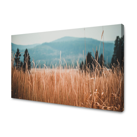Obraz na plátně Příroda Listy trávy 40x30 cm