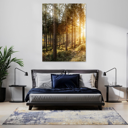 Obraz na plátně Břízy Stromy Slunce Ráno 70x120 cm