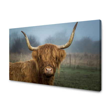 Obraz na plátně Zvířata Kráva 40x30 cm