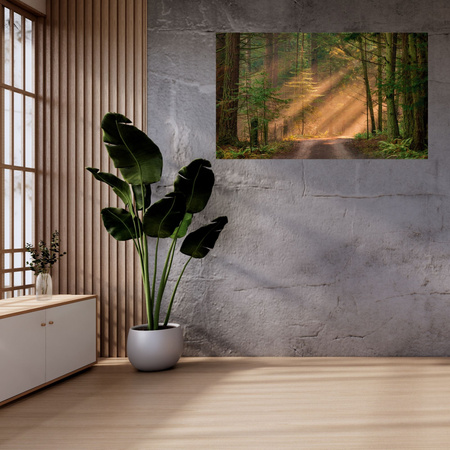 Obraz na plátně Cesta v lese Stromy Příroda 120x80 cm