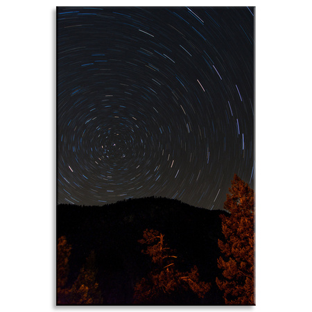 Obraz na plátně Příroda Les Noc Hory Abstrakce Stromy 80x120