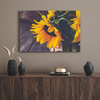 Obraz na plátně Botanika Slunečnice 40x30 cm