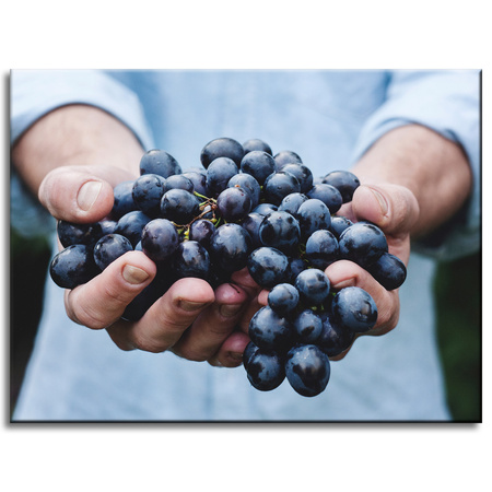 Obraz Kuchyně Hrozen 40x30 cm