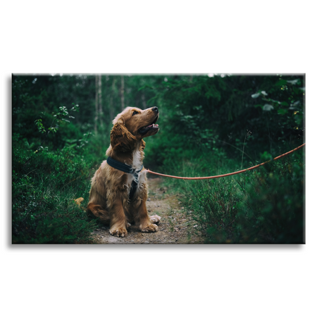 Fotomalba - Vaše fotografie na plátně 60x40 cm