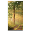 Obraz na plátně Sunlight Forest Path Nature 60x120 cm