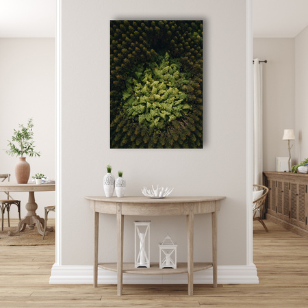 Obraz na plátně Stromy přírody z ptačí perspektivy 80x120