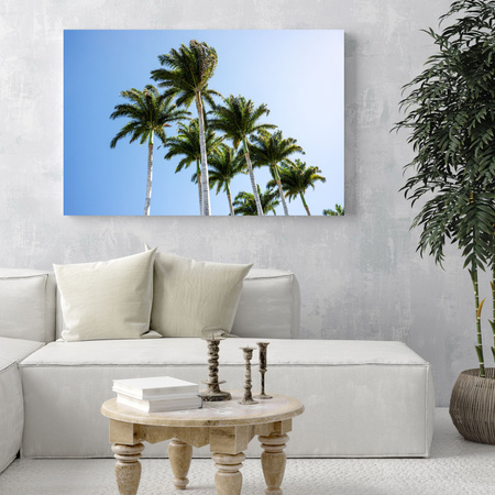 Obraz Nature Palms 40x30 cm