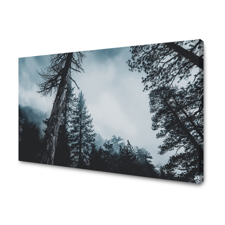 Obraz na plátně Příroda Koruny stromů 40x30 cm