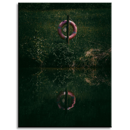 Obraz na plátně Přírodní záchranný kruh 30x40 cm