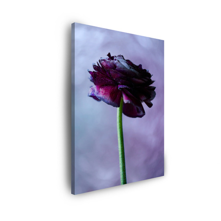 Obraz na plátně Botanika Fialový květ 30x40 cm