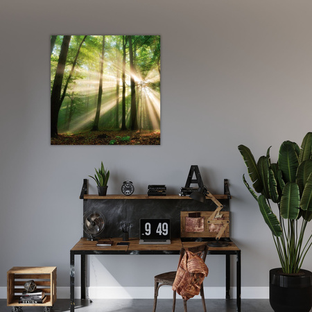 Obraz na plátně Slunce v lese Stromy Příroda 40X40 cm