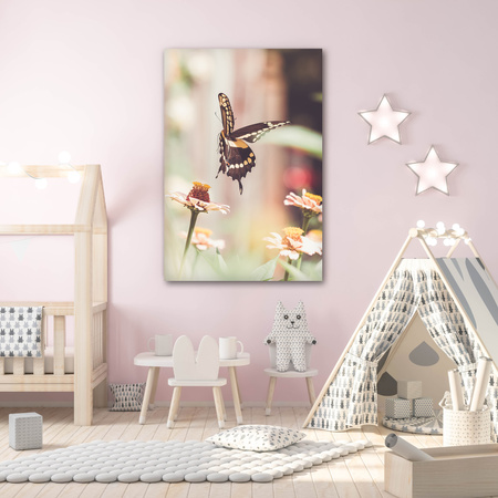 Obraz na plátně Příroda Hmyz Butterfly Flowers Jaro Léto 80x120