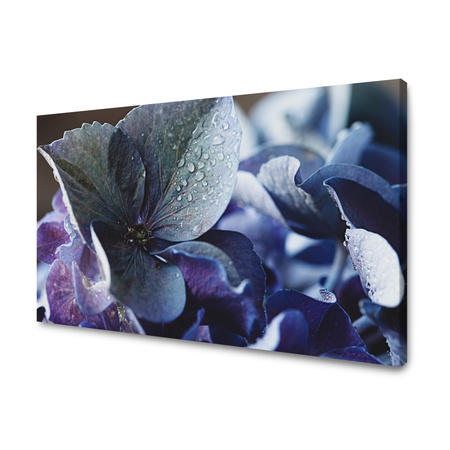 Obraz na plátně Botanika Modrá hortenzie 40x30 cm