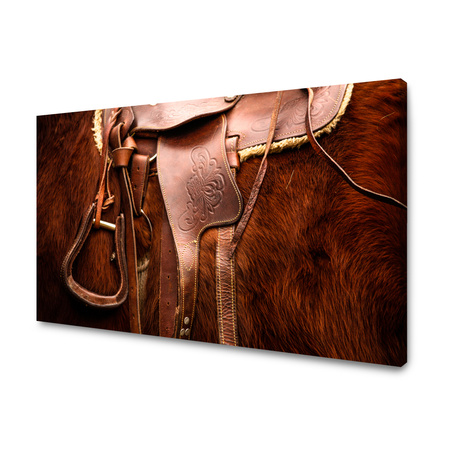 Obraz na plátně Zvířata Sedlový kůň 40x30 cm