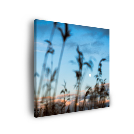 Obraz na plátně Nature Glade Meadow Sunrise 90x90